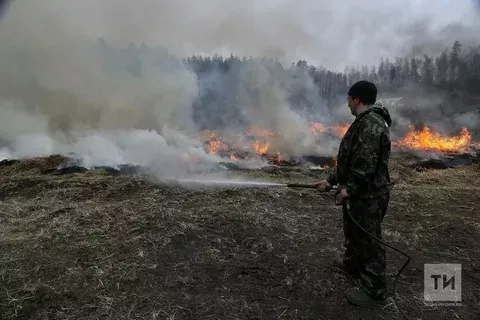 Стало известно, когда объявят особый противопожарный режим в Татарстане