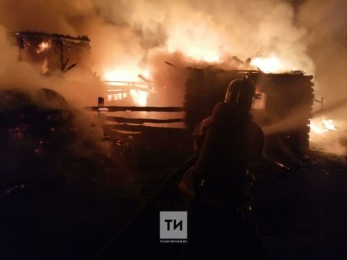 В Бугульме инспекторы ДПС спасли из горящего дома мужчину-инвалида