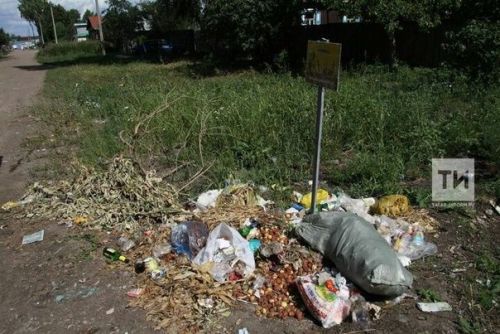 Минэкологии РТ объяснило, кто должен убрать несанкционированные свалки мусора
