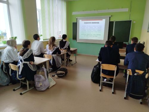 Школьники из Кушмана осознали, насколько важно бережно относиться к природе