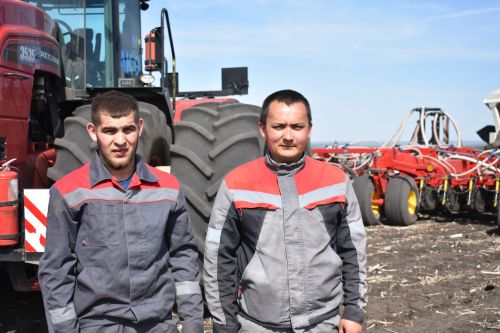 Кайбыч басуларында кыр эшләре кайный