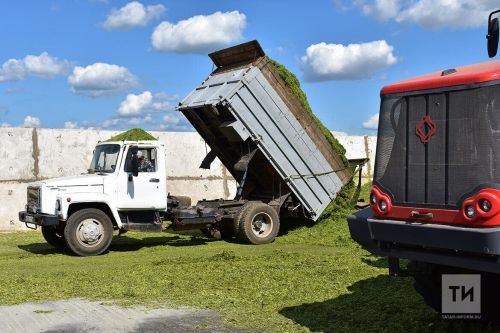 Хозяйства Татарстана приступили к заготовке кормов для сельхозживотных