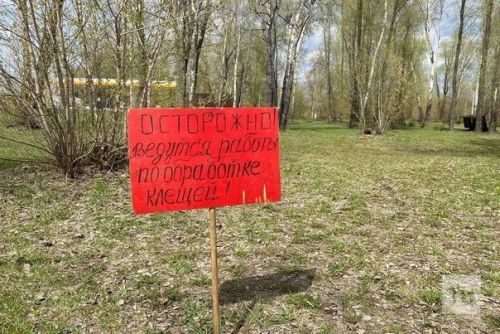 С начала года в клиники из-за укусов клещей обратились почти шесть тысяч татарстанцев