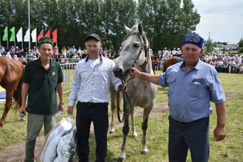 Кайбыч Сабан туенда атлар чабышы