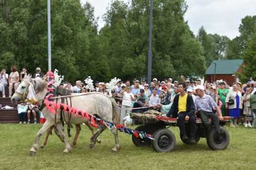 Кайбыч Сабан туенда тырыш, эшчән халкыбыз рәхәтләнеп күңел ачты, ял итте