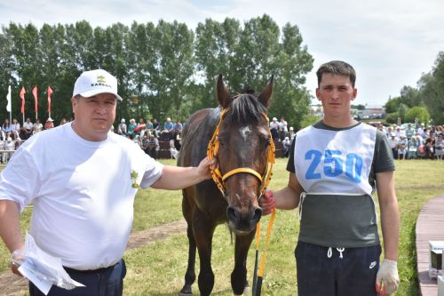 Кайбыч Сабан туенда атлар чабышы