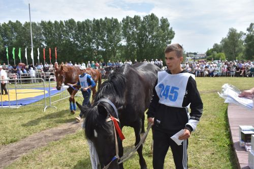 Кайбыч Сабан туенда атлар чабышы