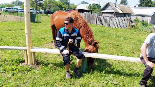 На Сабантуе в Большом Русакове разыграли двух баранов