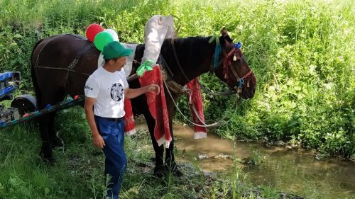 На Сабантуе в Большом Русакове разыграли двух баранов