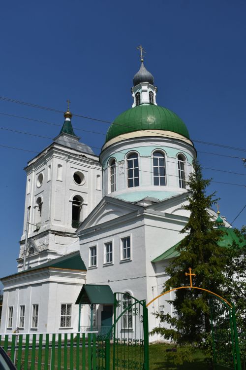 Митрополит Казанский и Татарстанский провел праздничную литургию в Свято-Троицком храме в Турминском