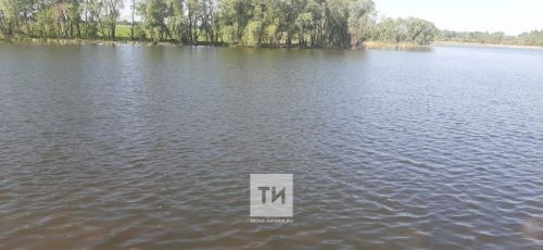 В пруду в Буинском районе нашли тело утонувшего мужчины