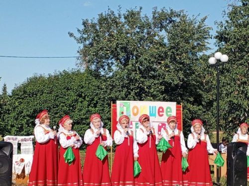 В селе Большое Подберезье Кайбицкого района прошёл концерт «Самое поющее село»
