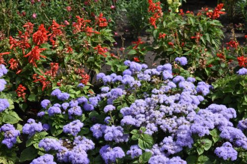 В Кайбицком районе все школы готовы к новому учебному году