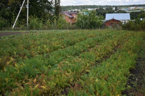 В Кайбицком районе все школы готовы к новому учебному году