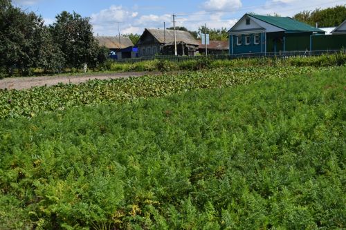 В Кайбицком районе все школы готовы к новому учебному году
