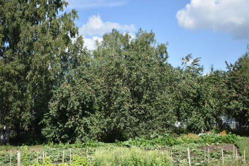 В Кайбицком районе все школы готовы к новому учебному году
