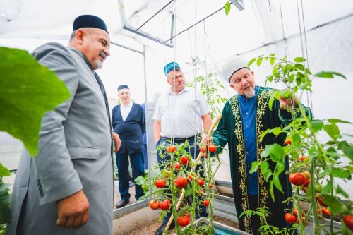 Глава Кайбицкого района Альберт Рахматуллин побывал на традиционном празднике «Бал бәйрәме»