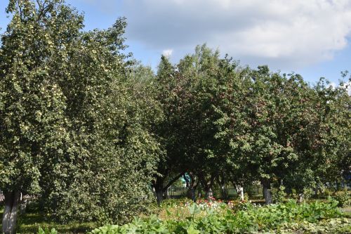 В Кайбицком районе все школы готовы к новому учебному году