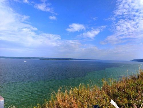 Врач объяснила, чем опасно купание в цветущих водоемах