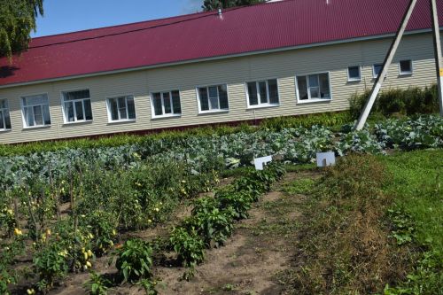 В Кайбицком районе все школы готовы к новому учебному году