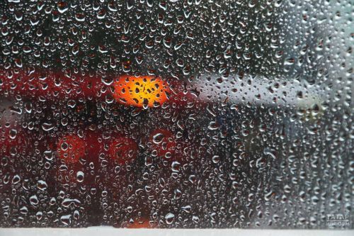 В Татарстане 14 августа прогнозируются дожди и грозы