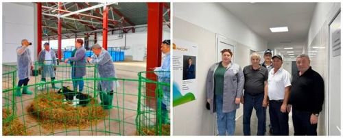 «Август-Кайбицы» посетила делегация из Казахстана