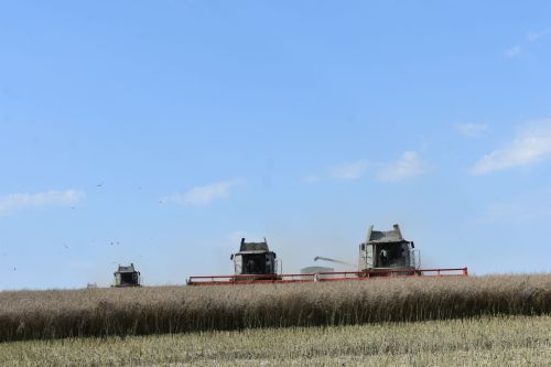 В Кайбицком районе наградили передовых комбайнеров
