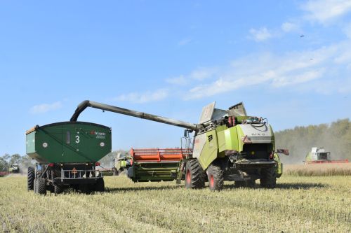 В Кайбицком районе наградили передовых комбайнеров