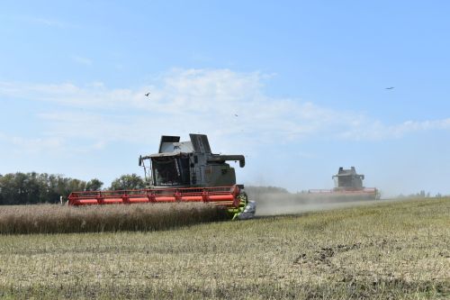 В Кайбицком районе наградили передовых комбайнеров