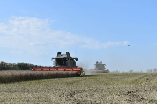 В Кайбицком районе наградили передовых комбайнеров