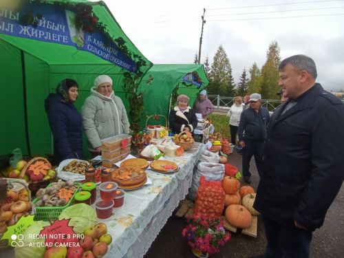 В Кайбицах прошла сельскохозяйственная ярмарка