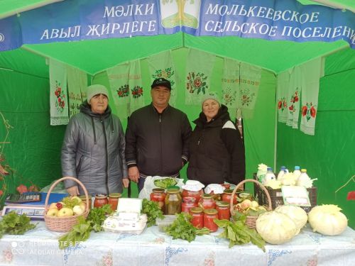 В Кайбицах прошла сельскохозяйственная ярмарка