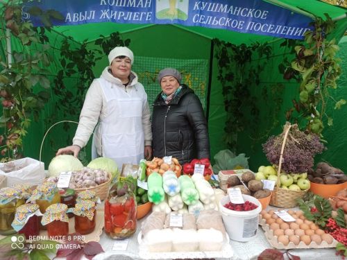 В Кайбицах прошла сельскохозяйственная ярмарка