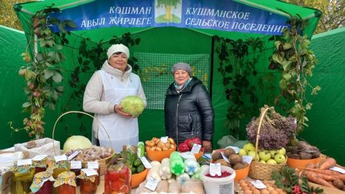 В Кайбицах прошла сельскохозяйственная ярмарка