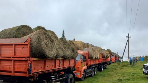 В Кайбицах прошла сельскохозяйственная ярмарка
