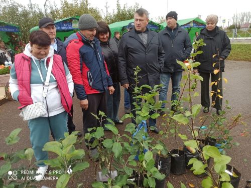 В Кайбицах прошла сельскохозяйственная ярмарка