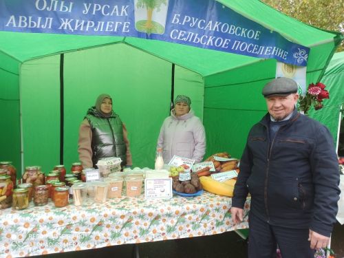 В Кайбицах прошла сельскохозяйственная ярмарка