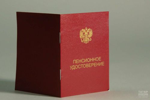 Матери 10 детей могут получать страховую пенсию, не проработав ни дня — экономист