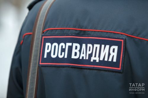 МВД и Росгвардия рассказали подробности нападения ученика на уборщицу в Нижнекамске