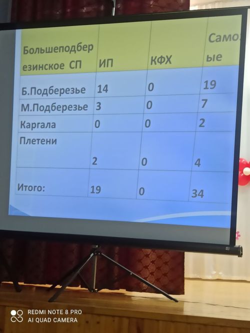 В селе Большое Подберезье состоялся сход граждан