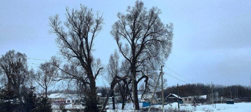 Снег, метель и гололедица ожидаются в Татарстане во вторник