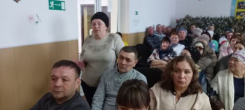 Малых Мемях прошел сход граждан