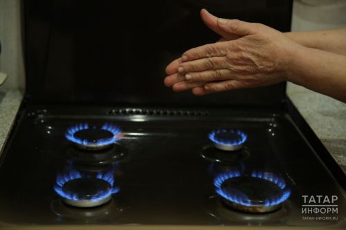 В Татарстане семья с детьми насмерть отравилась газом в частном доме