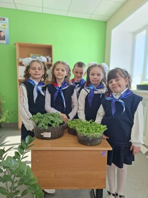 Юные экологи в деле: ученики Фёдоровской школы растят цветы и овощи