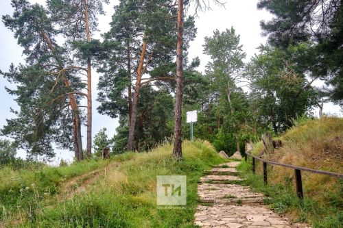 В Национальном парке «Нижняя Кама» появятся интерактивные стенды-мольберты по мотивам картин Ивана Шишкина