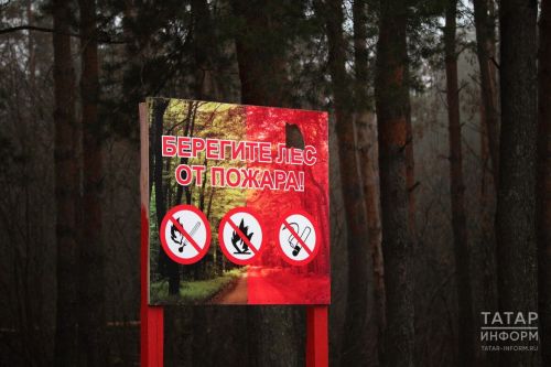 ТР Урман хуҗалыгы министрлыгы урманнарда янгын чыгу куркынычы зур булган айларны атады