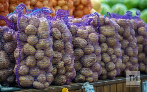 Пройдет ли семенной картофель испытание паводком?