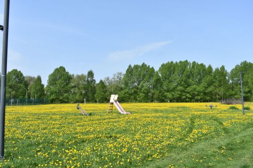 В Кайбицком парке отдыха состоялась «Семейная Зарница»
