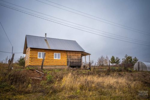 Подготовка дачи к сезону: защита от клещей, грызунов и инфекций