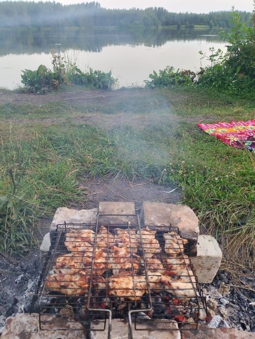 Безопасный шашлык
